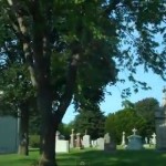 Local cemeteries are home for hawks, deer, other wildlife