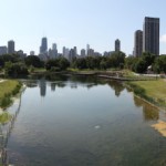 Chicago nature plan focuses on climate change, riverfront